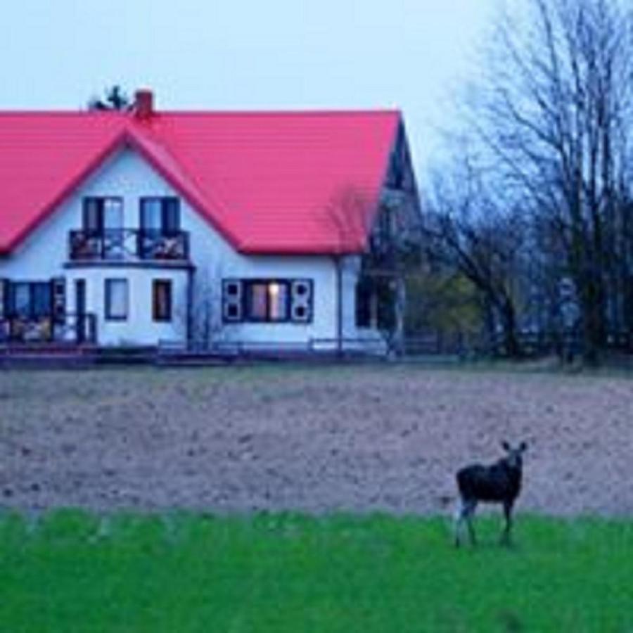 Losiowy Kat Гоньондз Екстер'єр фото